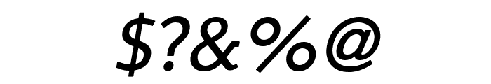 Steinem-Italic Font OTHER CHARS