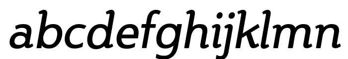 Steinem-Italic Font LOWERCASE