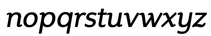 Steinem-Italic Font LOWERCASE