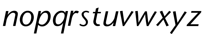 StoneSans Italic Font LOWERCASE