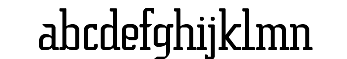 SucesionSlab-Regular Font LOWERCASE