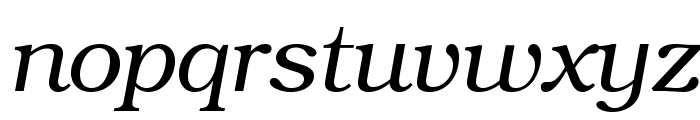 TeXGyreBonum-Italic Font LOWERCASE