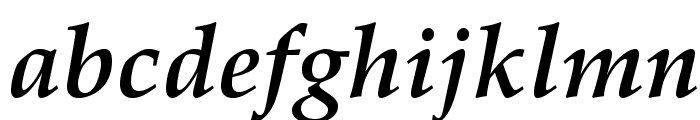 TeXGyrePagella-BoldItalic Font LOWERCASE