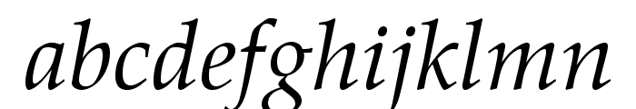 TeXGyrePagella-Italic Font LOWERCASE