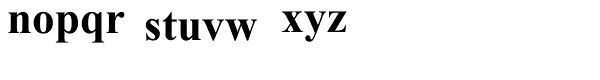 Times New Roman Cyrillic Bold Font LOWERCASE