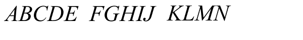 Times New Roman Cyrillic Inclined Font UPPERCASE