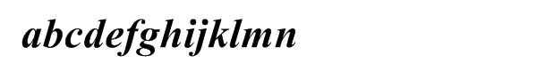 Times New Roman® PS Bold Italic Font LOWERCASE