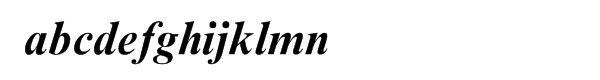Times New Roman® Pro Bold Italic Font LOWERCASE