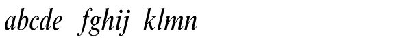 Times New Roman Pro Condensed Italic Font LOWERCASE
