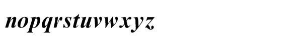 Times New Roman® Std Bold Italic Font LOWERCASE