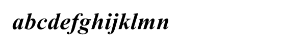 Times New Roman® WGL Bold Italic Font LOWERCASE