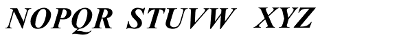 Times New Roman World Bold Italic Font UPPERCASE