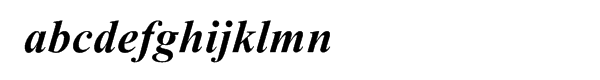 Times New Roman® World Bold Italic Font LOWERCASE