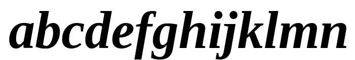 Tinos Bold Italic Font LOWERCASE
