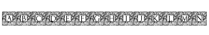 Topiary_Initials Font LOWERCASE