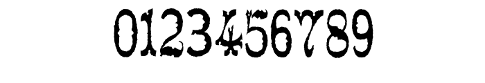 Tuscaloosa Rustic Font OTHER CHARS Tuscaloosa Rustic Font OTHER CHARS