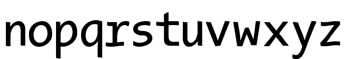 TypeWritersSubstitute Font LOWERCASE