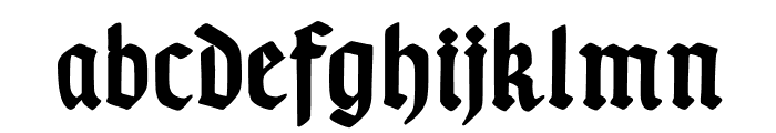 TypographerGotischA-Bold Font LOWERCASE