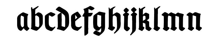 TypographerGotischB-Bold Font LOWERCASE