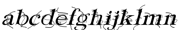 Typography ties Italic Font LOWERCASE