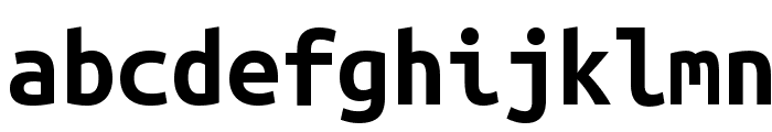 Ubuntu Monospaced Bold Font LOWERCASE