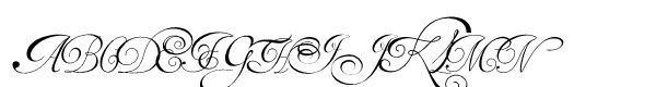 Your Image
