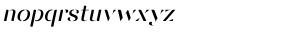 Vanage Light Italic Font LOWERCASE