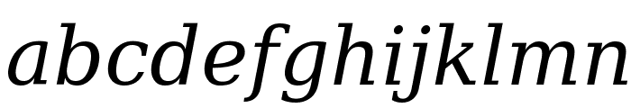 Verajja Serif Italic Font LOWERCASE