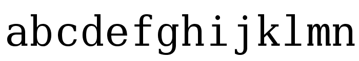 Verily Serif Mono Font LOWERCASE