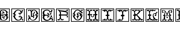 VictorianInitialsOne Font LOWERCASE