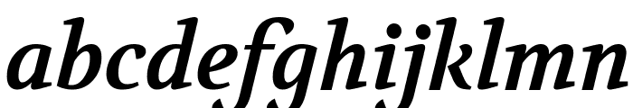Volkhov Bold Italic Font LOWERCASE