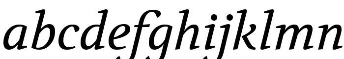 Volkhov-Italic Font LOWERCASE