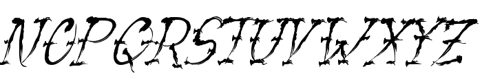 VTC-SumiSlasherOne Italic Font UPPERCASE