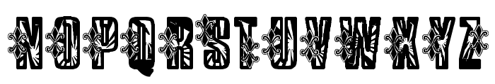 VTKS Low Rider Font LOWERCASE