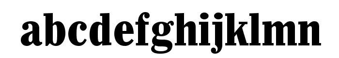 Whitin-CondensedBlack Font LOWERCASE