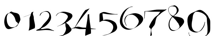 WildQuill Font OTHER CHARS
