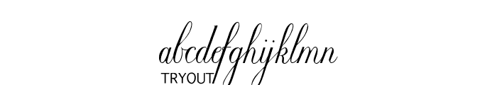 Willegha Tryout Font LOWERCASE