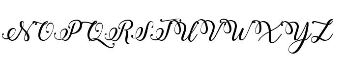 Winter Calligraphy Font UPPERCASE