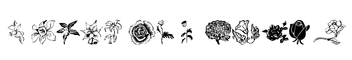 wmflowers1 Font LOWERCASE