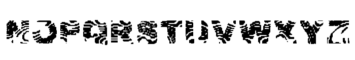 Zebra Ztripez Font LOWERCASE