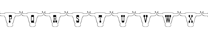 101! Texan Style Font LOWERCASE