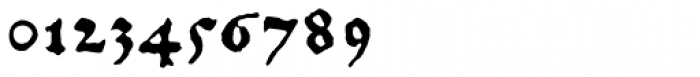 1456 Gutenberg B42 Pro Font OTHER CHARS