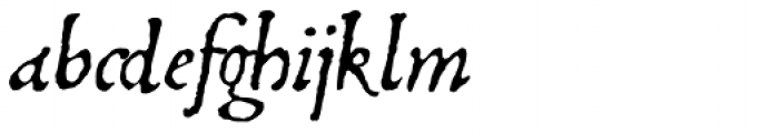 1499 Alde Manuce Pro Italic Font LOWERCASE