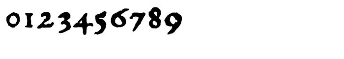 1529 Champ Fleury Regular Font OTHER CHARS