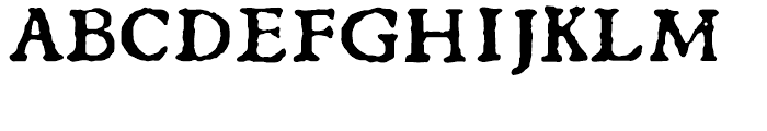 1529 Champ Fleury Regular Font UPPERCASE