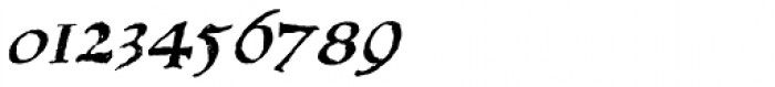1543 Humane Jenson Italic Font OTHER CHARS