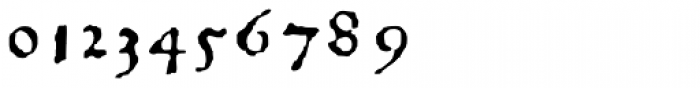 1543 Humane Petreius Italic Font OTHER CHARS