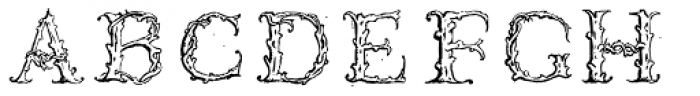 1565 Venetian Normal Font UPPERCASE
