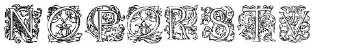 1585 Flowery Font LOWERCASE