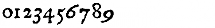 1589 Humane Bordeaux Italic Font OTHER CHARS